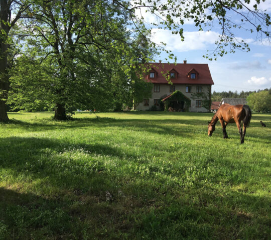 POLANKA Agroturystyka i Konie