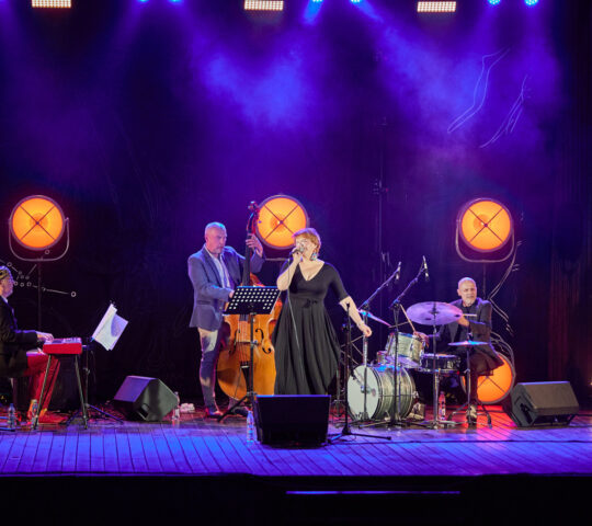 Horyniec-Zdrój Art Festiwal