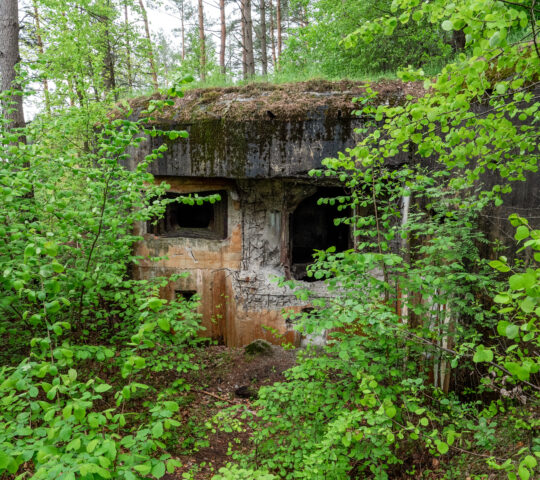 Bunkry na wzgórzu Hrebcianka – część „Linii Mołotowa”